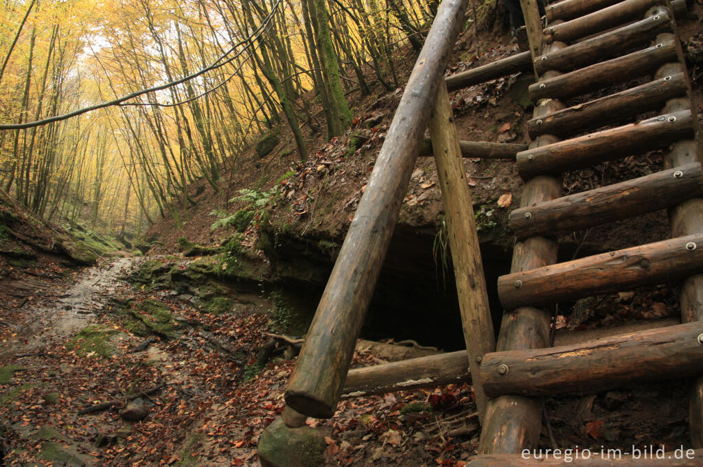 Detailansicht von Eifelsteig im Butzerbachtal, Südeifel