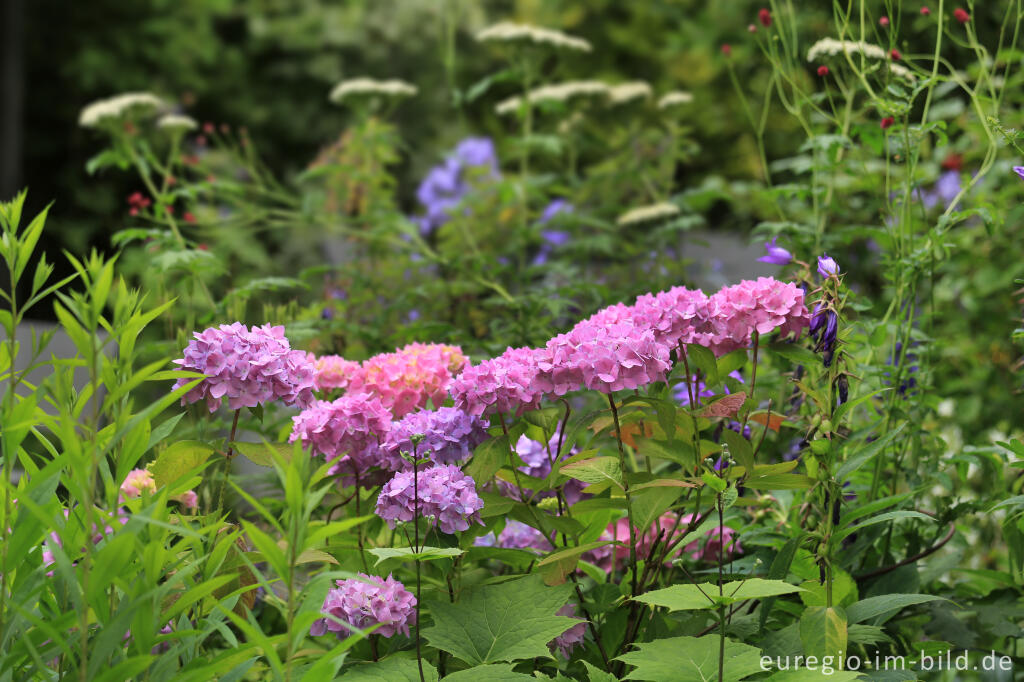 Detailansicht von Ein Garten mit Zimmern