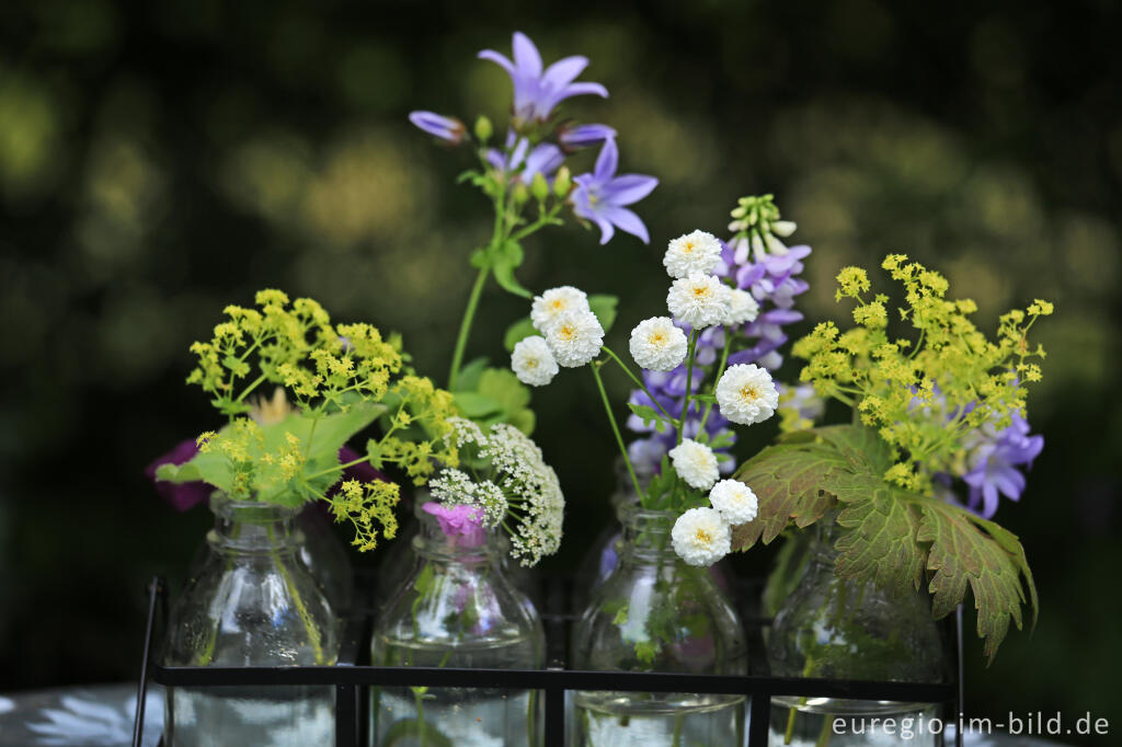 Detailansicht von Ein Garten mit Zimmern