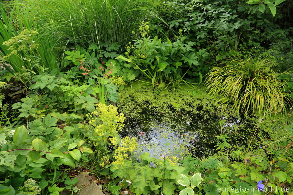 Detailansicht von Ein Garten mit Zimmern