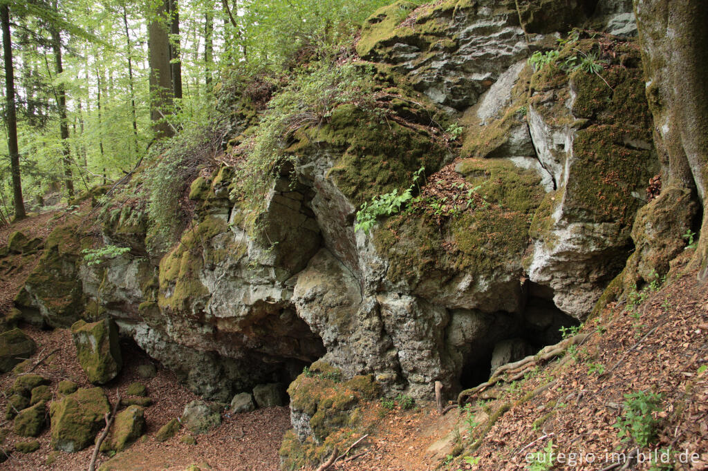 Eingestürzte Mühlsteinhöhlen am "Rother Kopf"