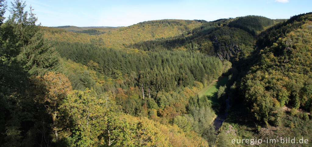 Detailansicht von Einsames Tal, weite Wälder: das Liesertal, Blick vom Burgberg