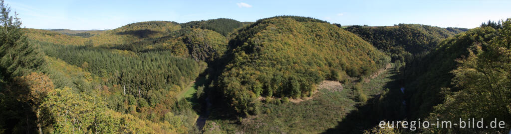 Detailansicht von Einsames Tal, weite Wälder: das Liesertal, Blick vom Burgberg