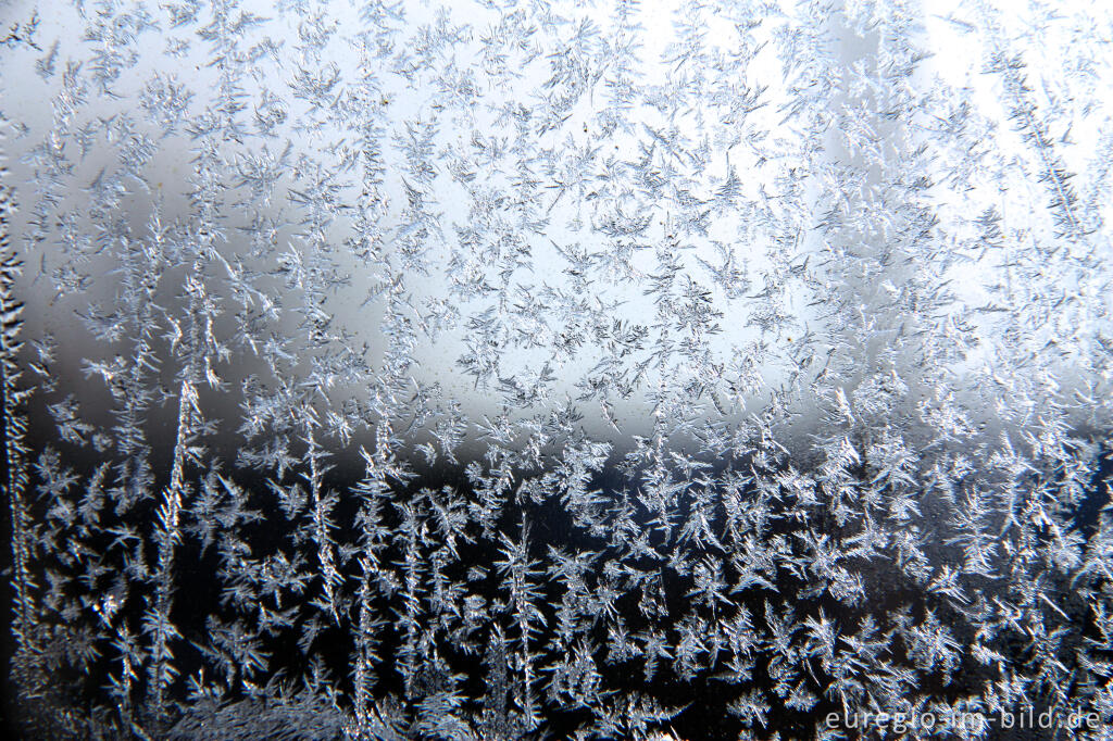 Detailansicht von Eiskristalle auf einer Glasscheibe