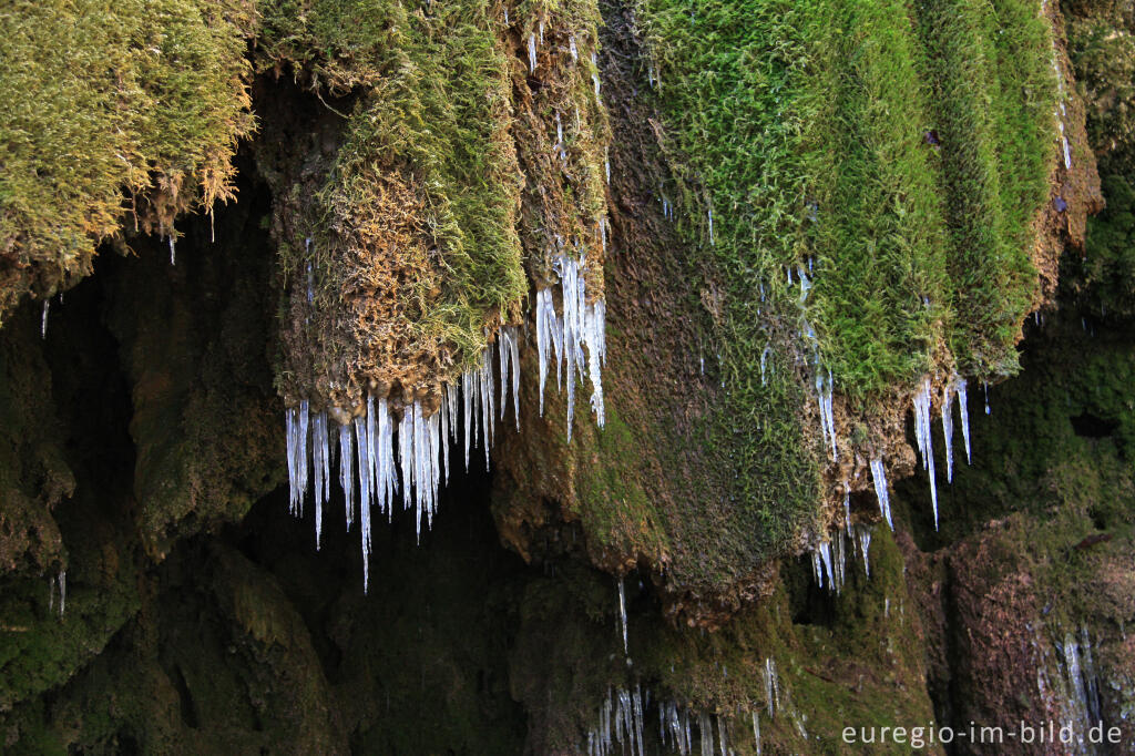 Detailansicht von Eiszapfen beim Dreimühlen-Wasserfall in der Kalkeifel