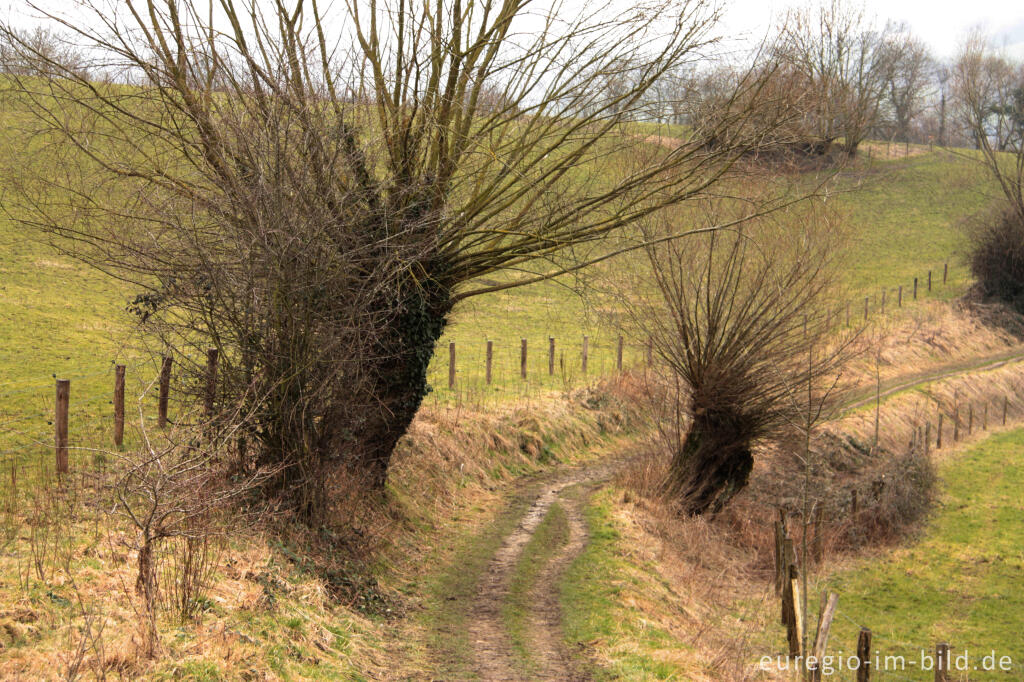 Detailansicht von Elsenboschweg bei Cottessen
