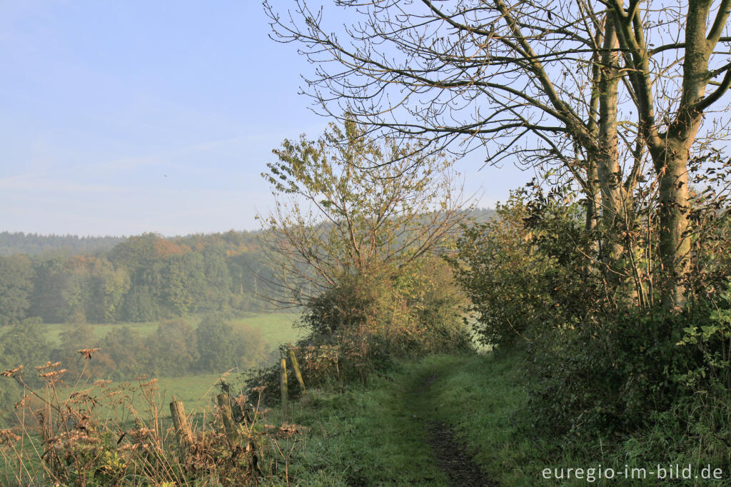 Detailansicht von Elsenboschweg bei Cottessen