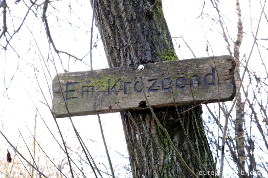 Detailansicht von "Em Krötzbönd", Lammersdorf