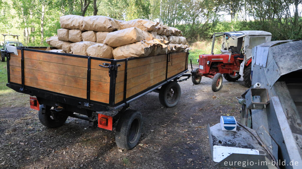 Detailansicht von Ernte der Holzkohle des Kohlenmeilers von Düttling bei Heimbach