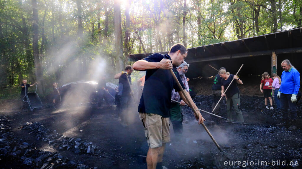 Detailansicht von Ernte der Holzkohle des Kohlenmeilers von Düttling bei Heimbach