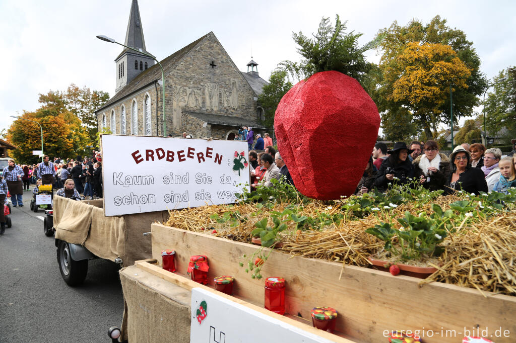 Detailansicht von Erntedankfest in Mützenich bei Monschau