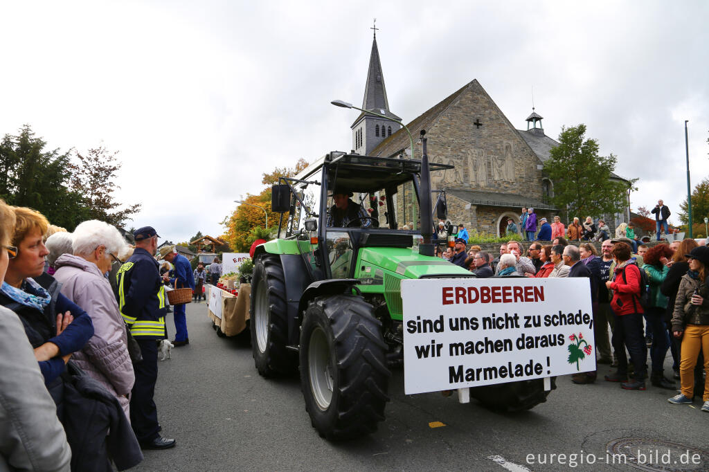 Detailansicht von Erntedankfest in Mützenich bei Monschau