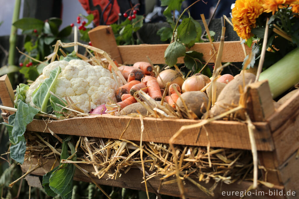 Detailansicht von Erntedankfest in Mützenich bei Monschau