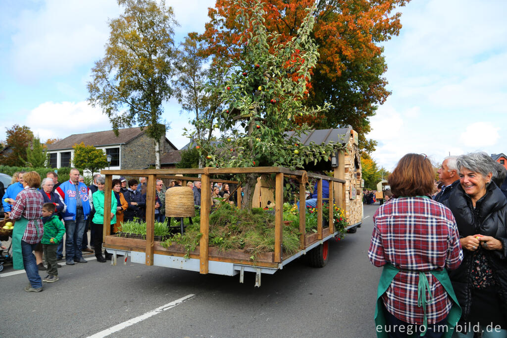 Detailansicht von Erntedankfest in Mützenich bei Monschau