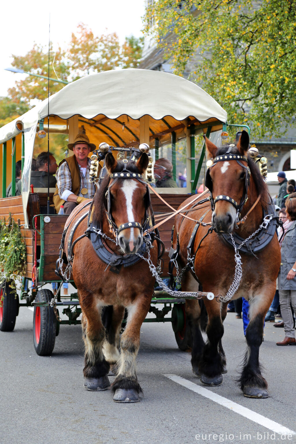 Detailansicht von Erntedankfest in Mützenich bei Monschau