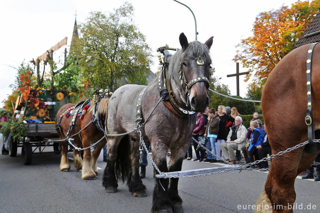 Detailansicht von Erntedankfest in Mützenich bei Monschau