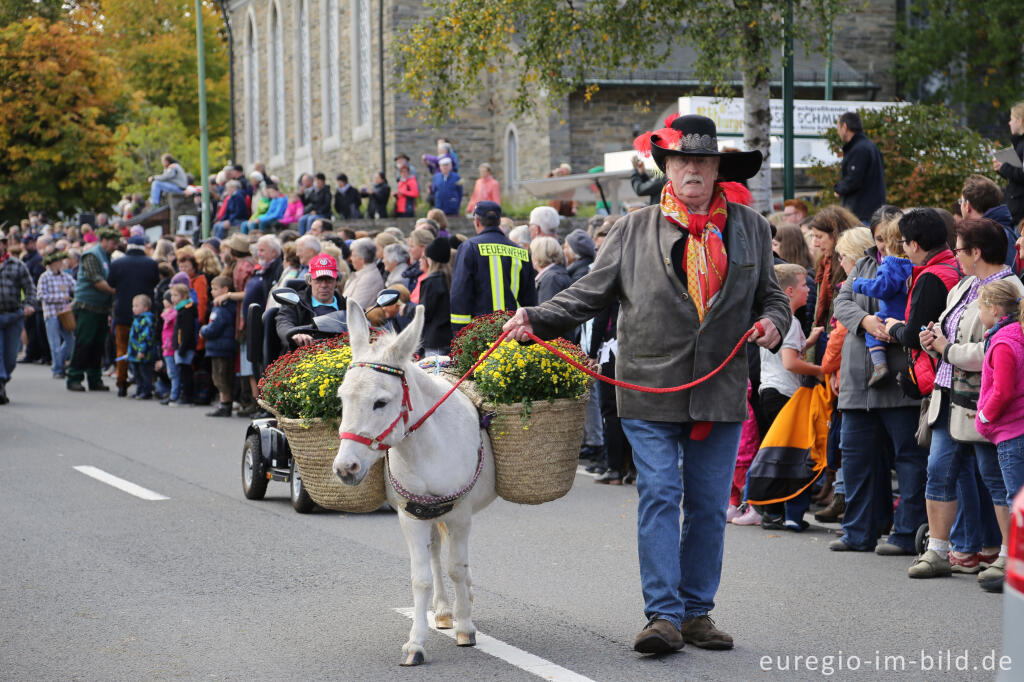 Detailansicht von Erntedankfest in Mützenich bei Monschau