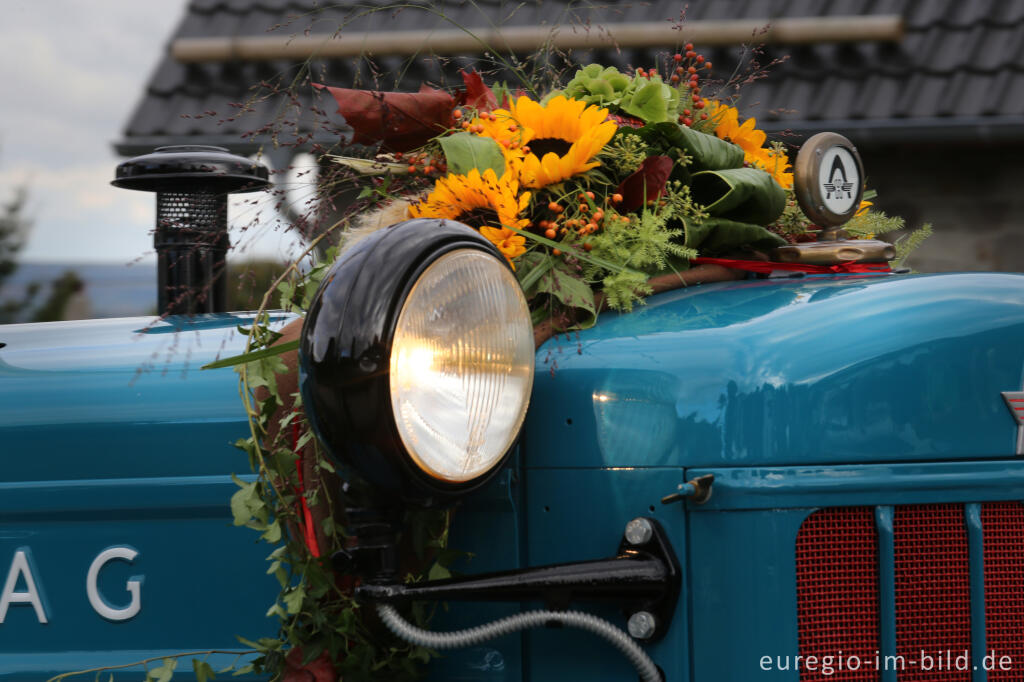 Detailansicht von Erntedankfest in Mützenich bei Monschau