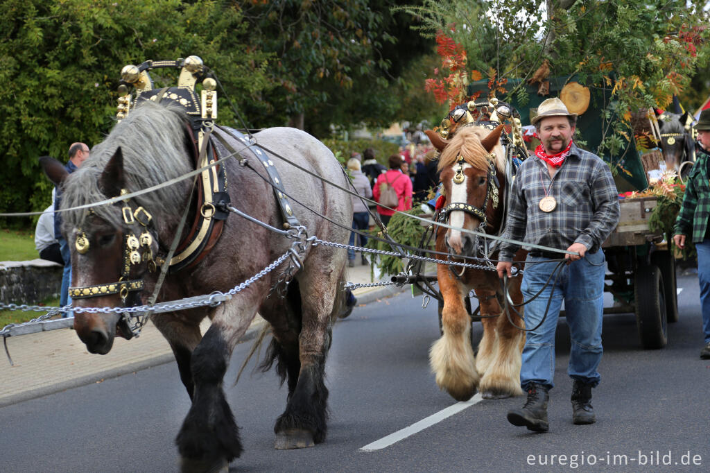 Detailansicht von Erntedankfest in Mützenich bei Monschau