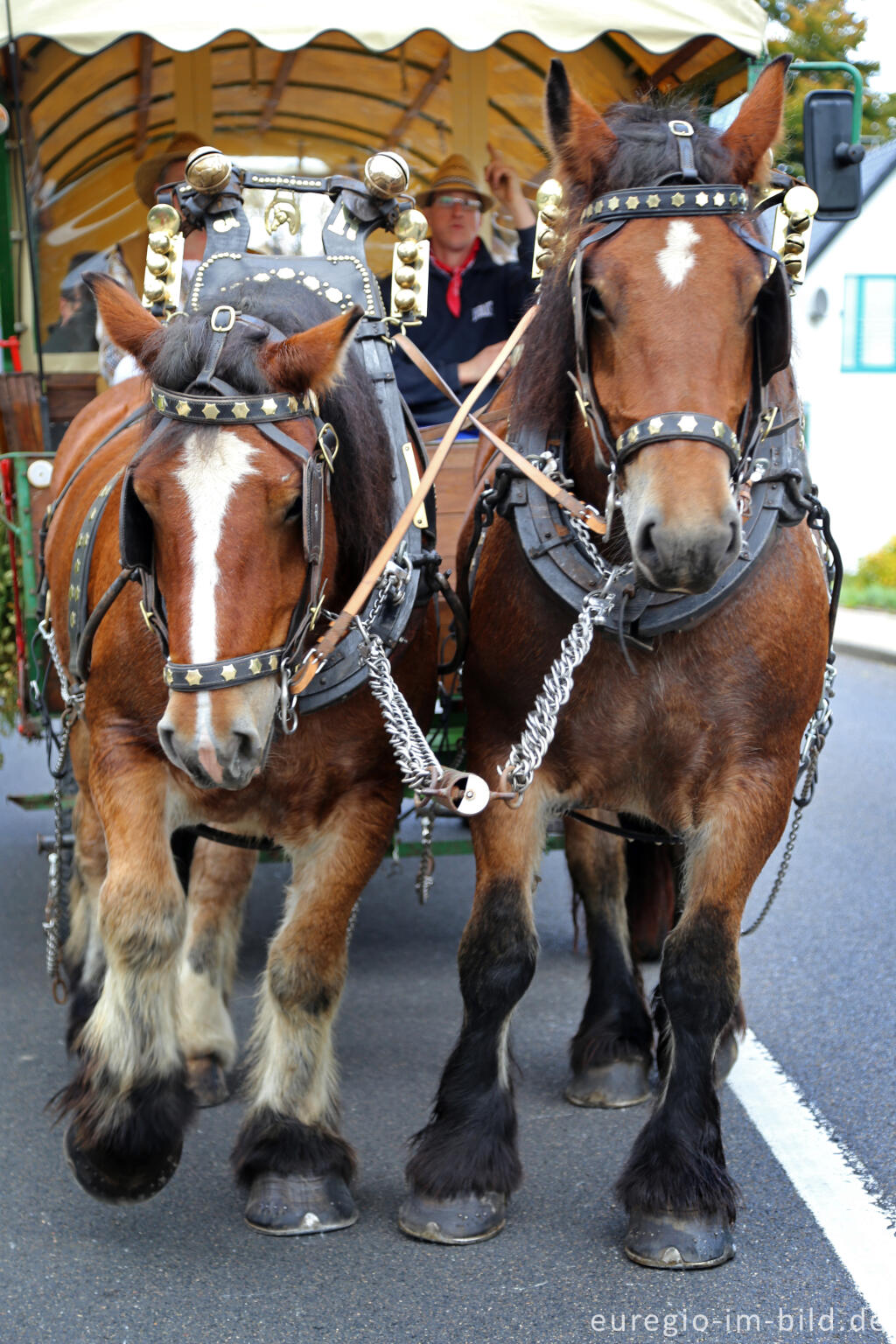 Detailansicht von Erntedankfest in Mützenich bei Monschau