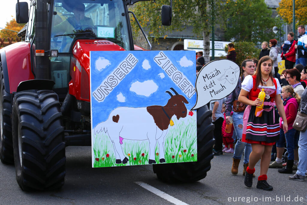 Detailansicht von Erntedankfest in Mützenich bei Monschau