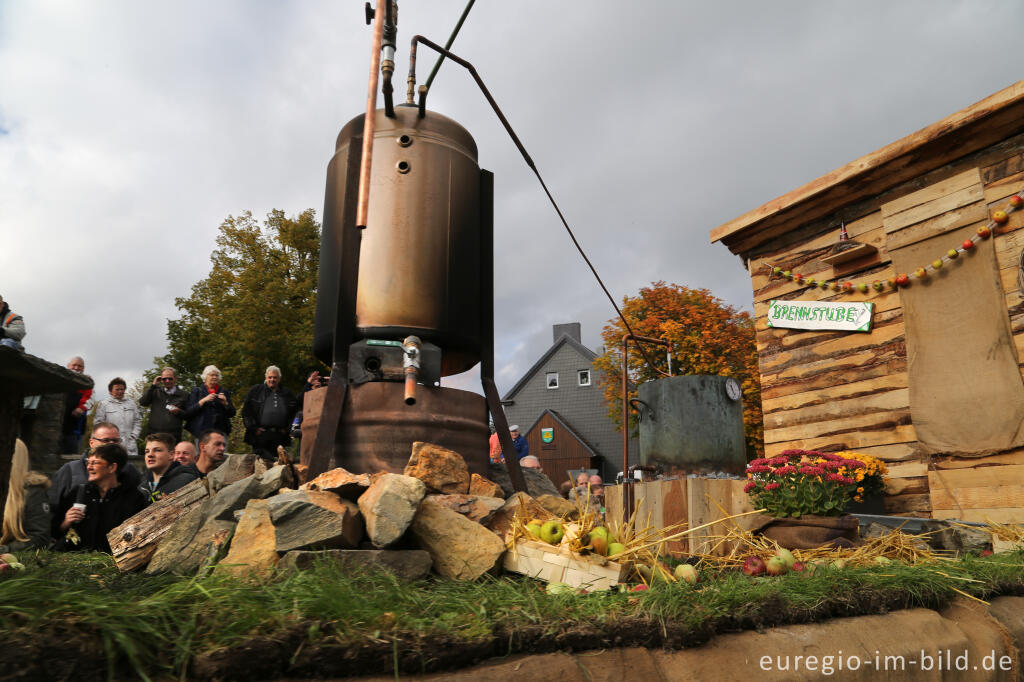 Detailansicht von Erntedankfest in Mützenich bei Monschau