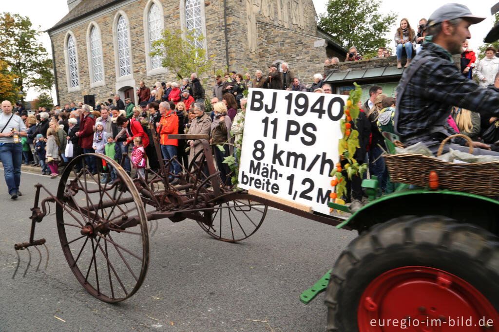 Detailansicht von Erntedankfest in Mützenich bei Monschau