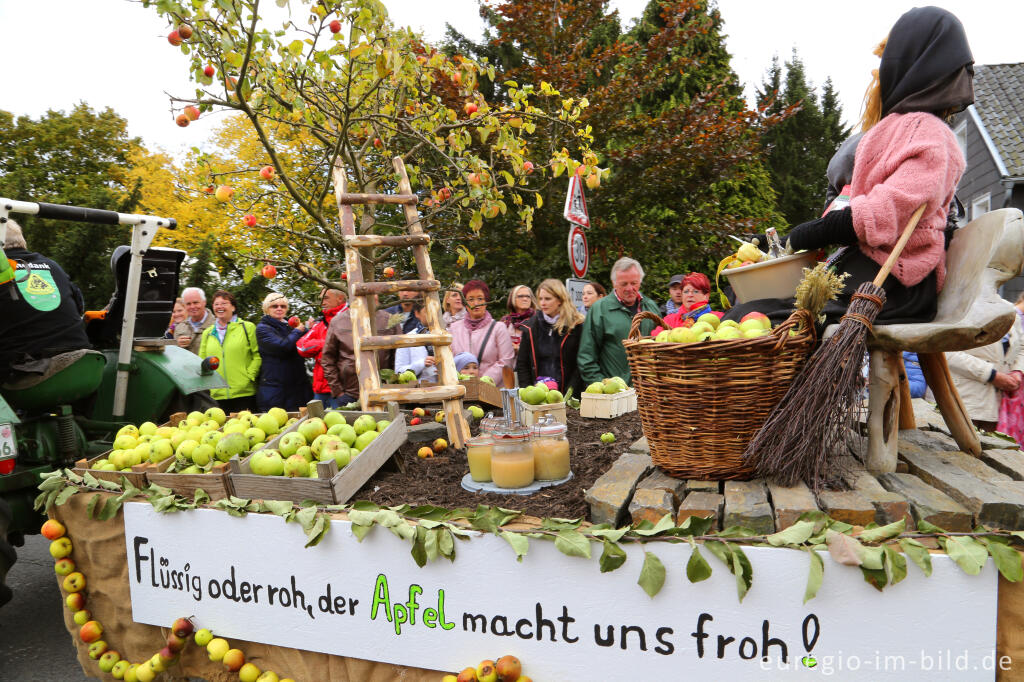 Detailansicht von Erntedankfest in Mützenich bei Monschau