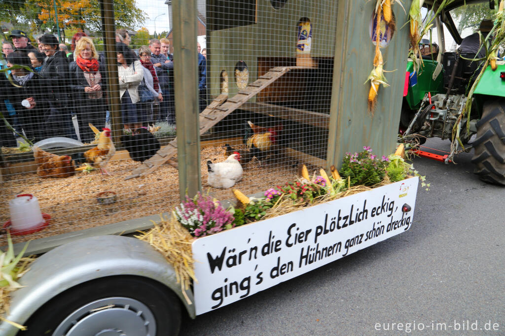 Detailansicht von Erntedankfest in Mützenich bei Monschau