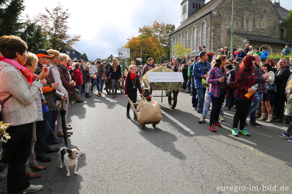 Detailansicht von Erntedankfest in Mützenich bei Monschau