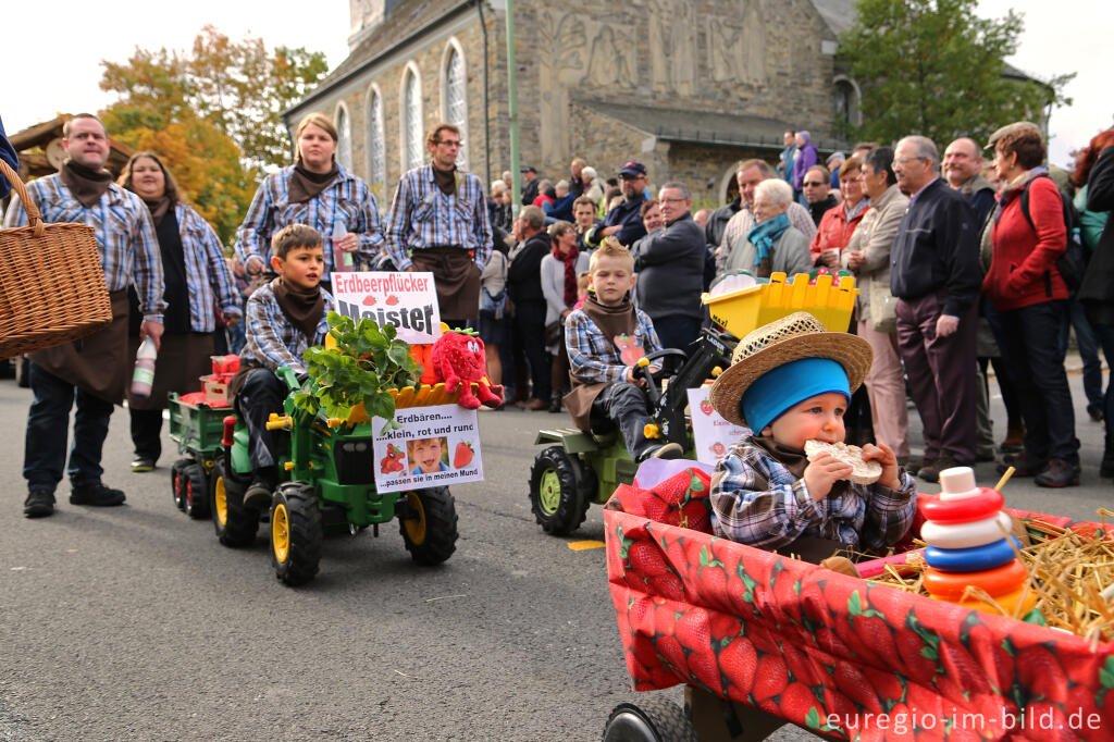 Detailansicht von Erntedankfest in Mützenich bei Monschau