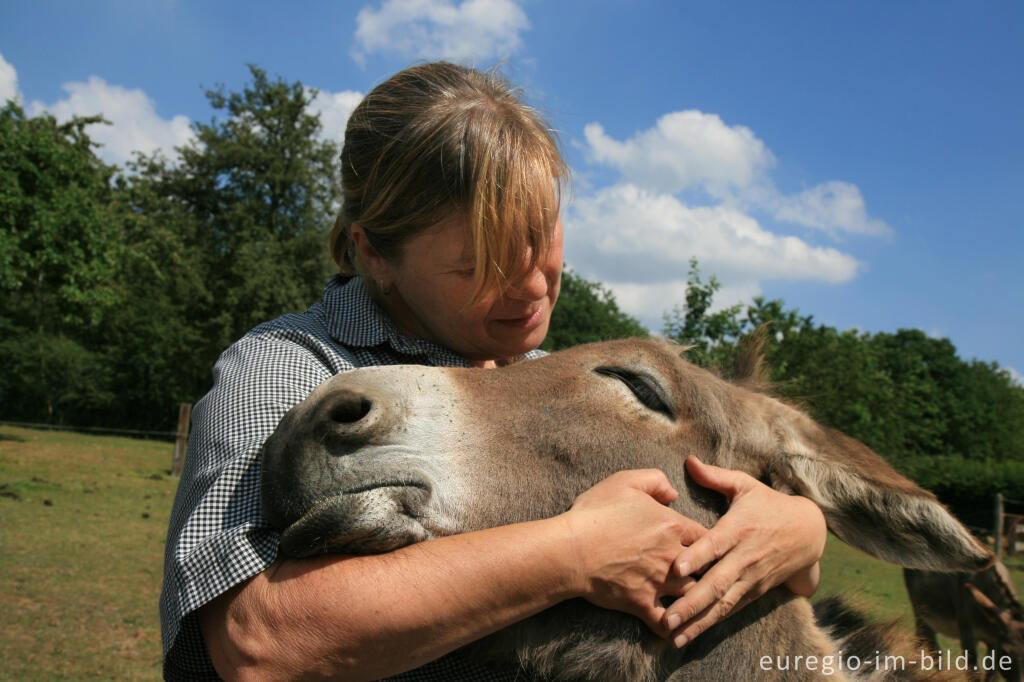 Detailansicht von Esel mit Besitzerin, Clermont, B