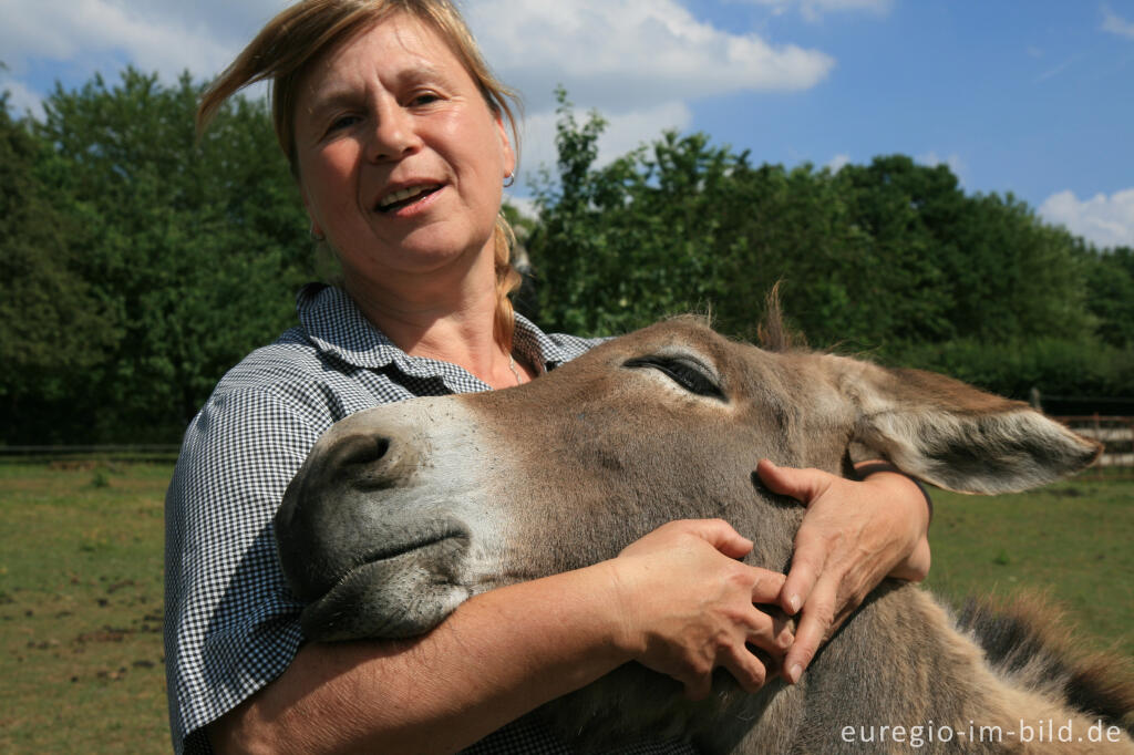 Detailansicht von Esel mit Besitzerin, Clermont in Belgien