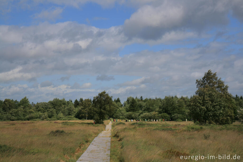 Eupener Grenzgraben im Platten Venn