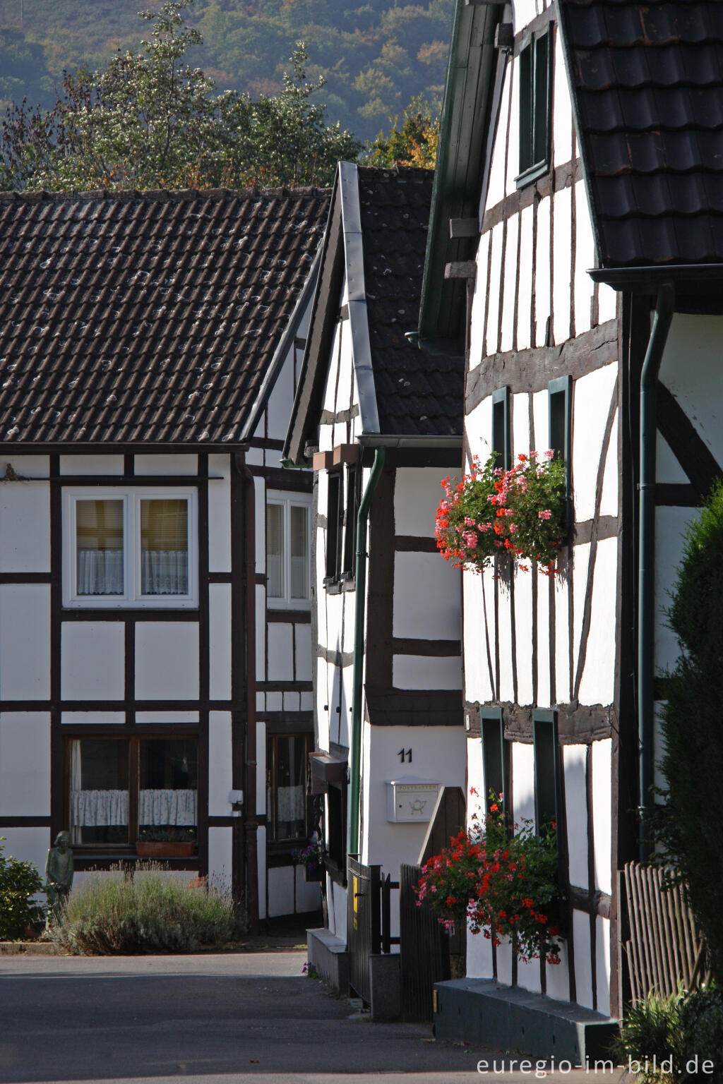 Detailansicht von Fachwerkhäuser in Abenden