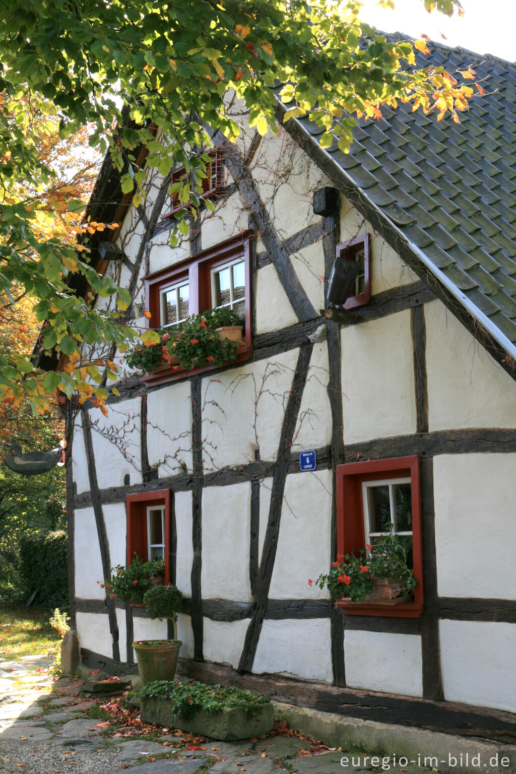 Detailansicht von Fachwerkhaus in Höfen