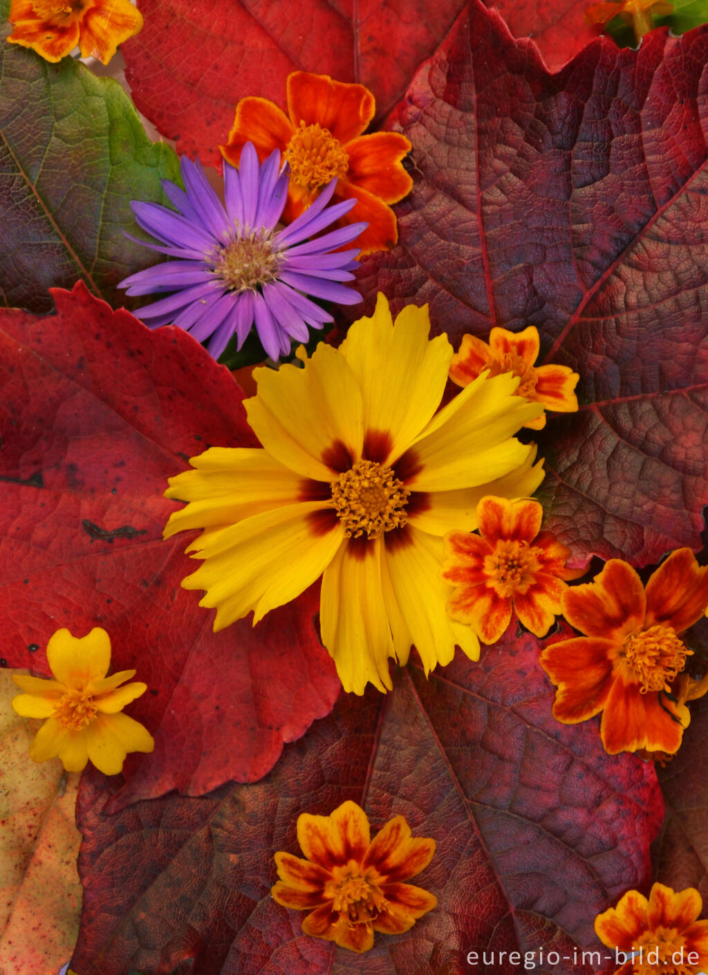 Detailansicht von Farben des Oktobers