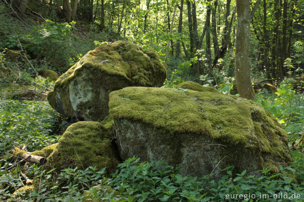 Felsbrocken auf der Dietzenley - Reste eines keltischen Ringwalls