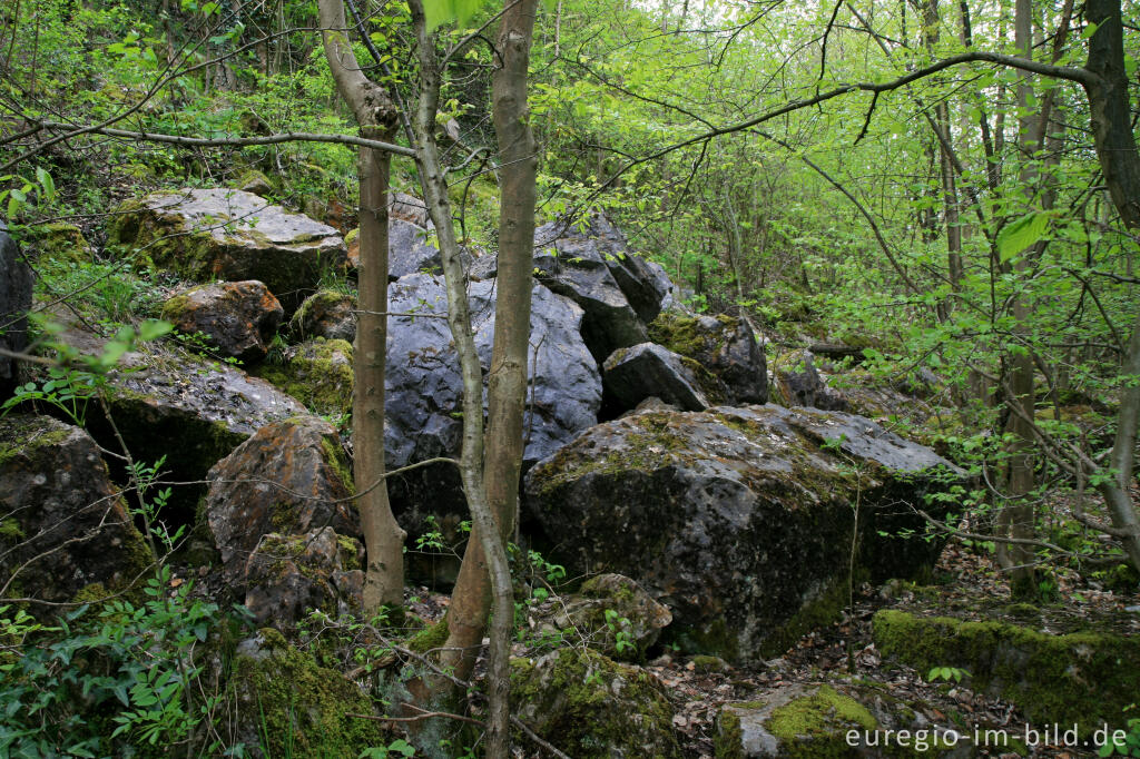 Detailansicht von Felsbrocken in einem Steinbruch bei Walheim