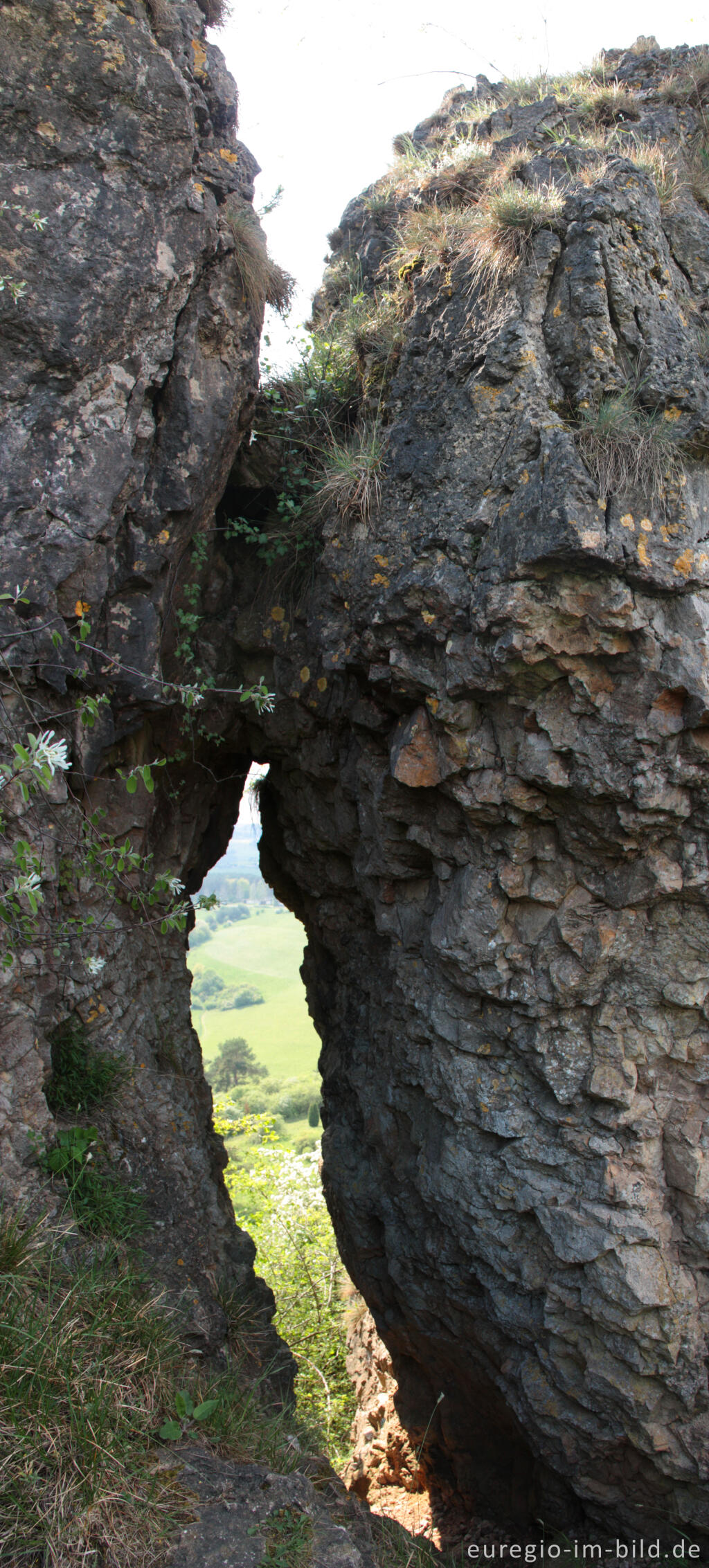 Detailansicht von Felsen auf dem Auberg  im Naturschutzgebiet Gerolsteiner Dolomiten