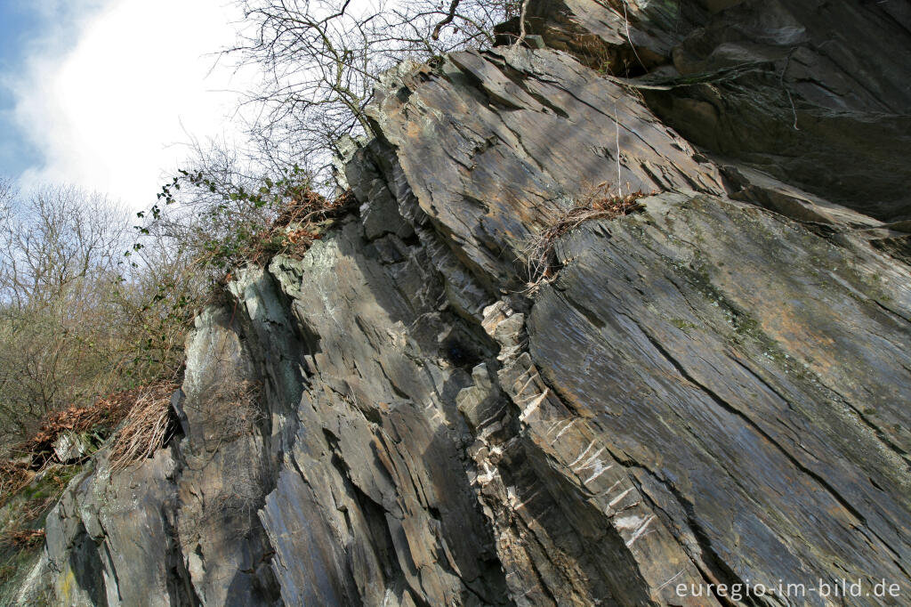 Detailansicht von Felsen aus Schiefergestein beim Obersee, Rureifel