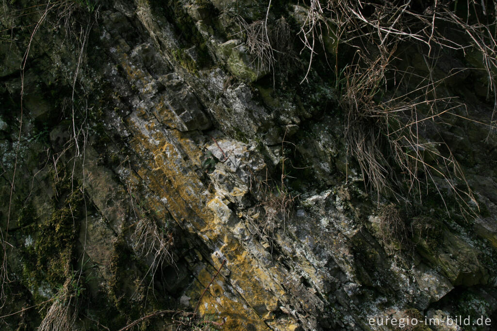 Detailansicht von Felsen bei der Vennbahntrasse