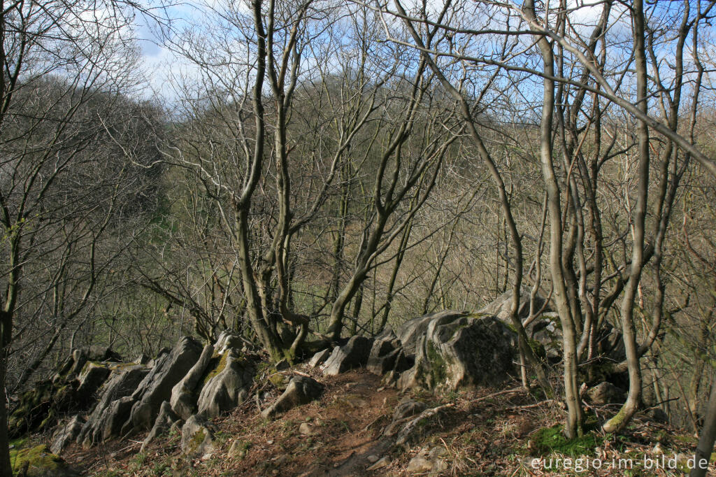 Detailansicht von Felsen beim Hohnbachtal, Belgien