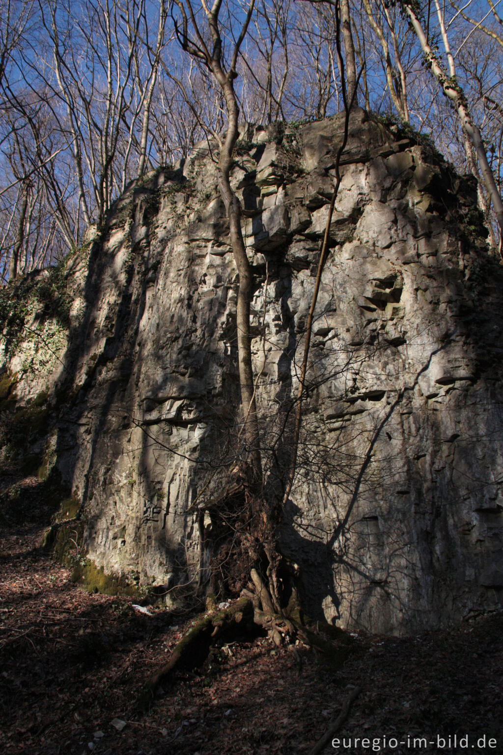 Detailansicht von Felswand im Göhltal am Emmaburger Weg, zwischen Hergenrath und Kelmis