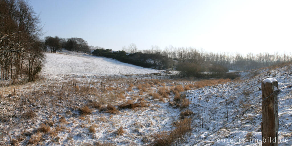 Detailansicht von Feuchtbiotop im Gasser Feld