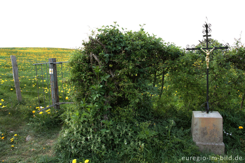 Flurkreuz und Drehsperre in der Hecken- und Wiesenlandschaft bei Raeren