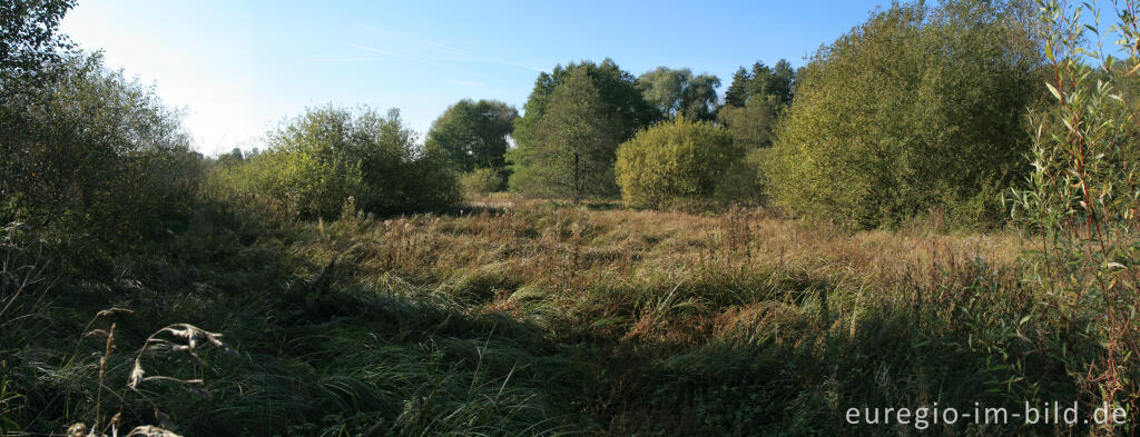 Detailansicht von Flussaue im NSG Broichbachtal 