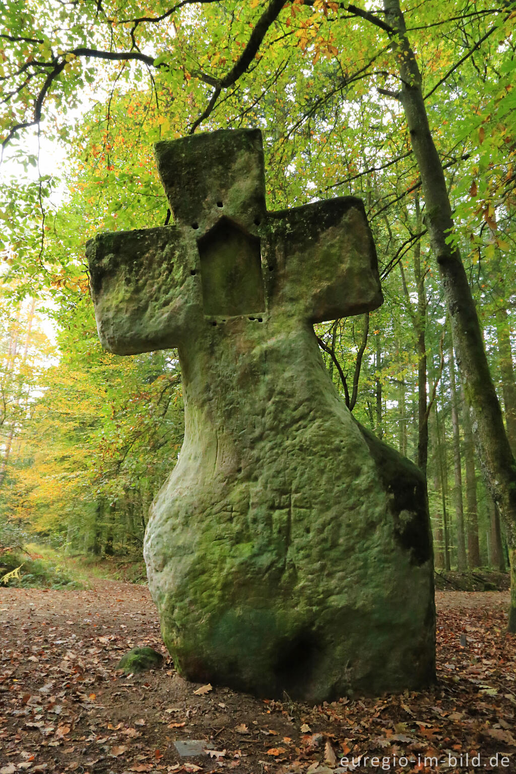 Detailansicht von Fraubillenkreuz auf dem Ferschweiler Plateau, Südeifel