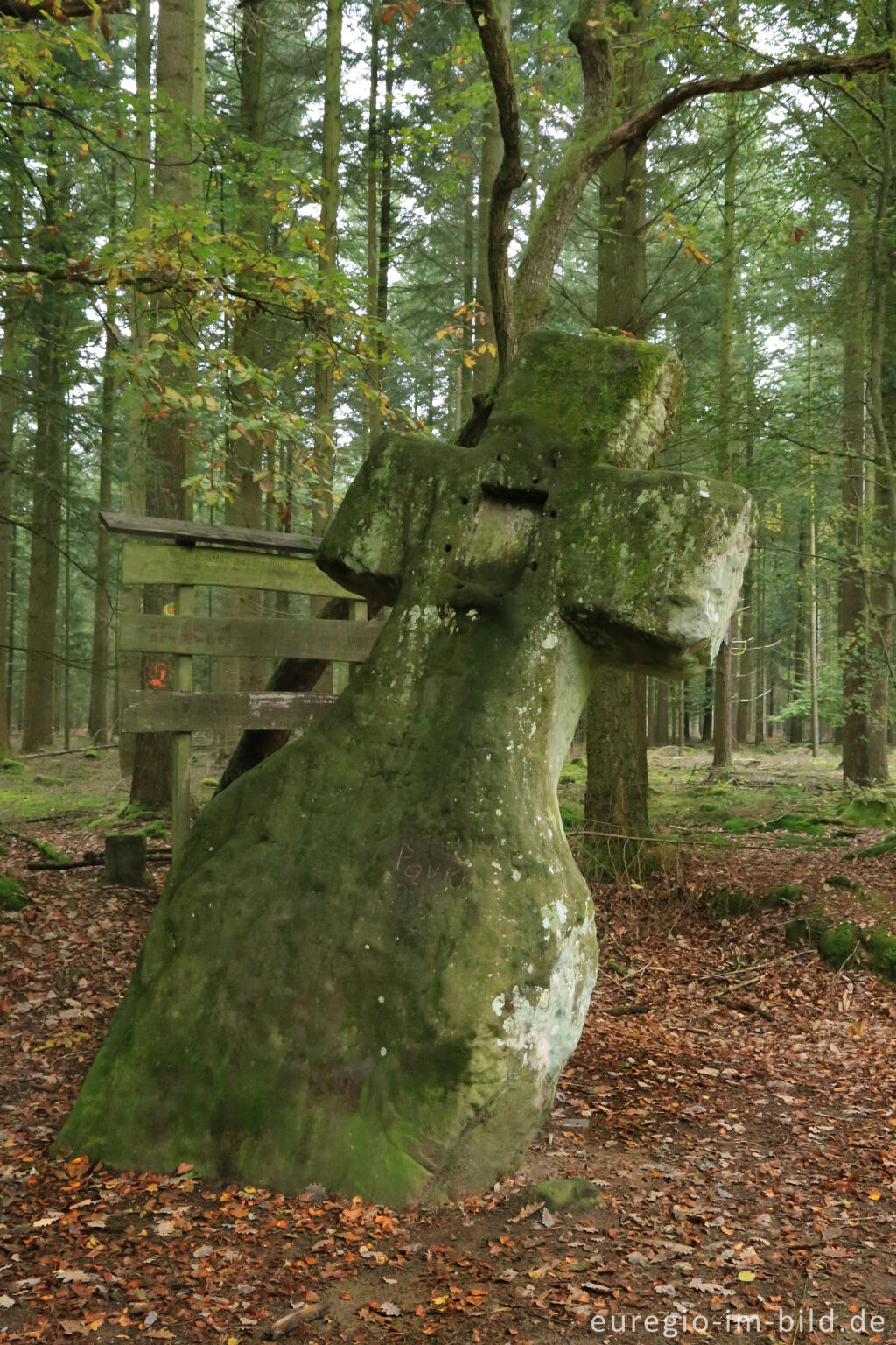 Detailansicht von Fraubillenkreuz auf dem Ferschweiler Plateau, Südeifel