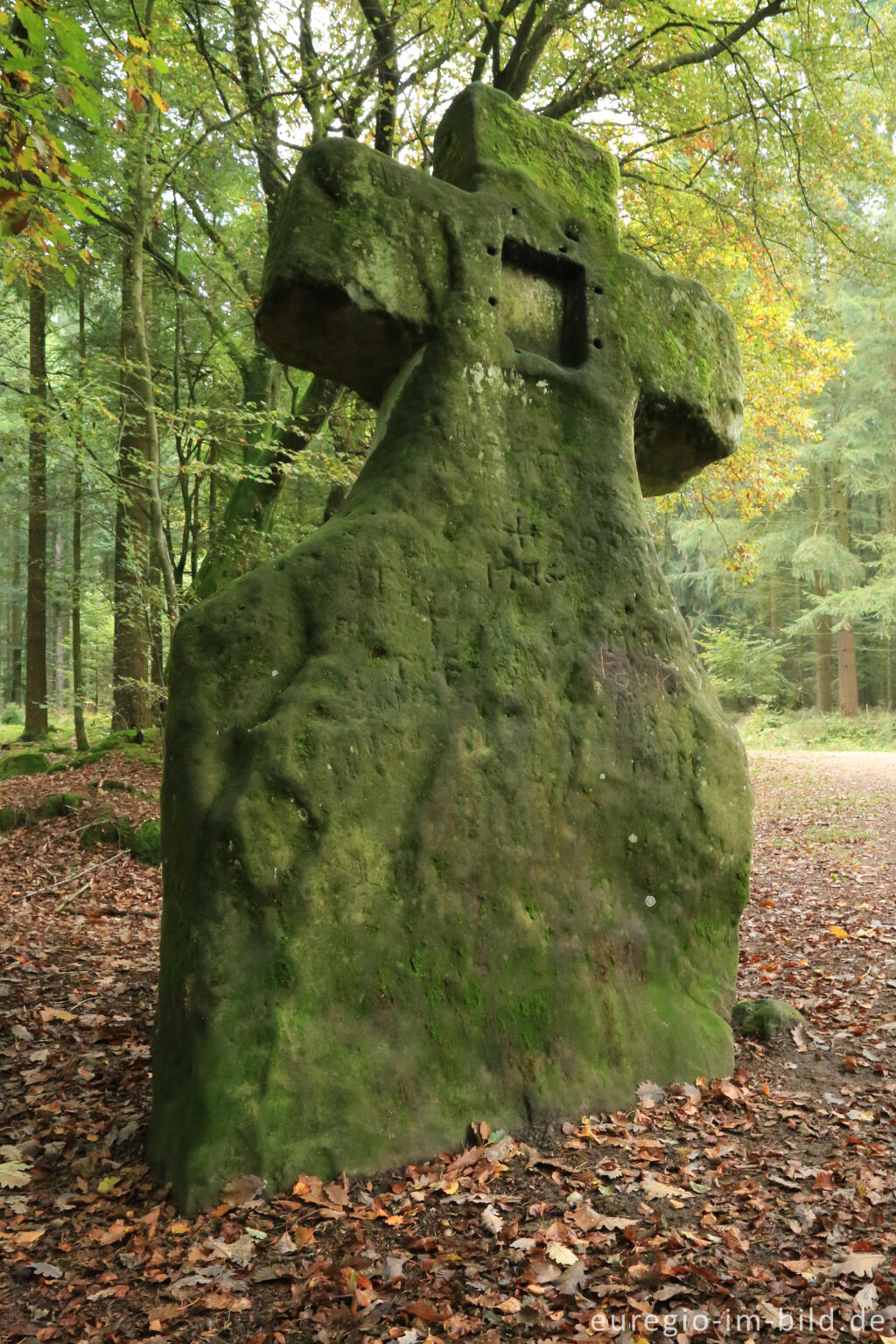 Detailansicht von Fraubillenkreuz auf dem Ferschweiler Plateau, Südeifel